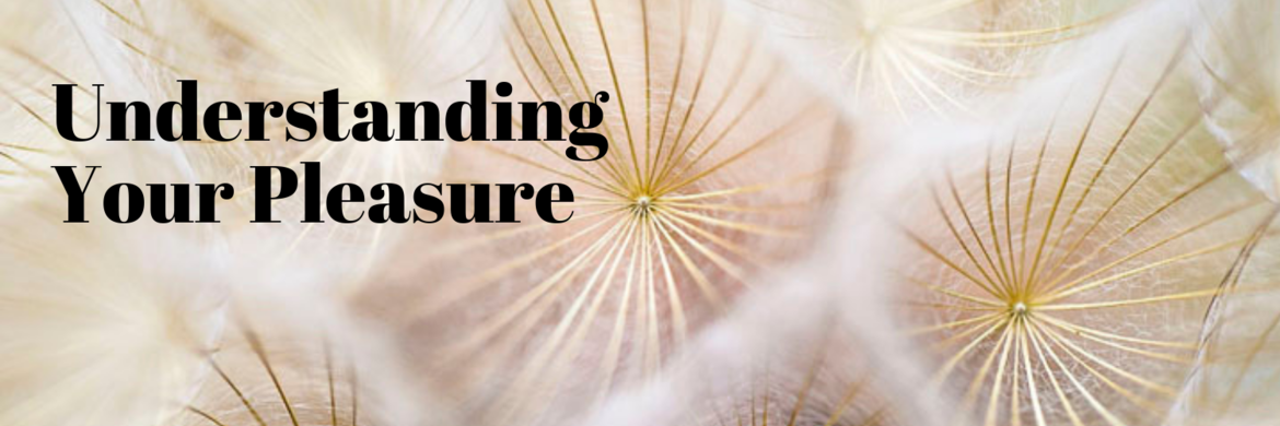 Understanding pleasure with this concept